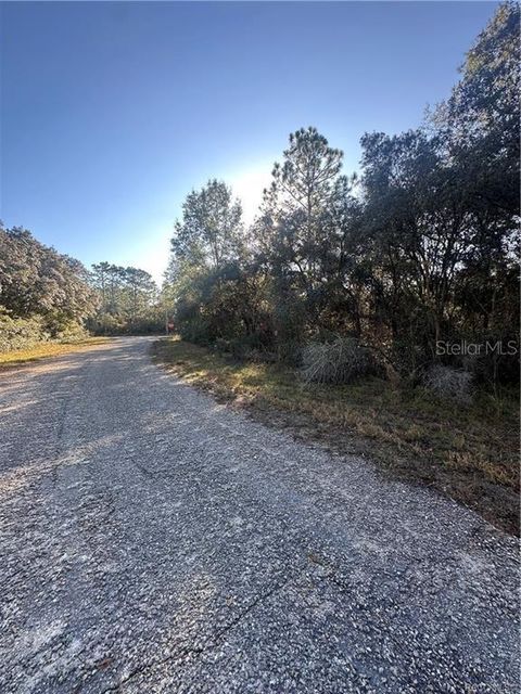 Tiny photo for 3908 W Tropic Lane, Dunnellon, FL 34433 (MLS # TB8455632)