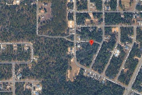 Tiny photo for 3908 W Tropic Lane, Dunnellon, FL 34433 (MLS # TB8455632)