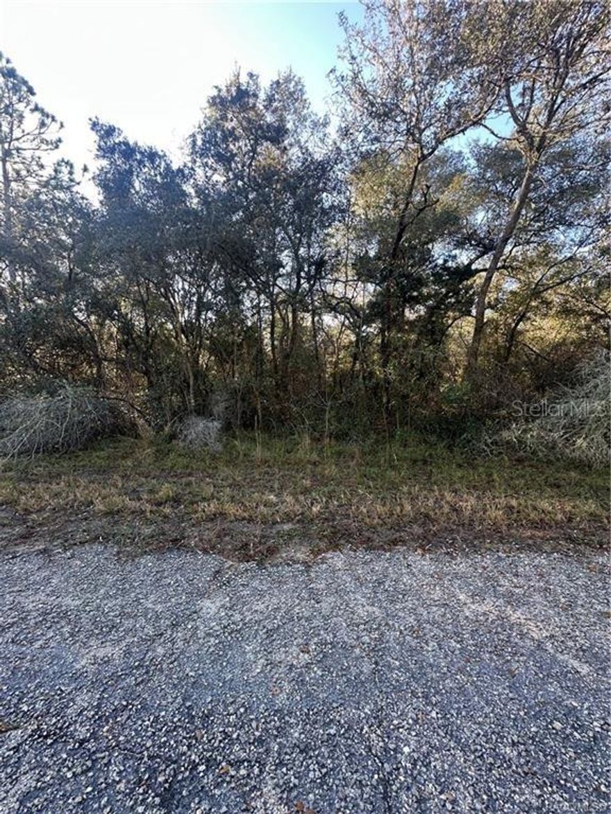 Discover the perfect opportunity to build your dream home or investment property on this spacious .29-acre lot, ideally situated on a partially developed street in a rapidly growing neighborhood. Surrounded by a mix of new construction and established homes, this property offers the ideal blend of privacy, potential, and convenience. Enjoy easy access to major roads, local amenities, shopping, dining, and parks—all just minutes away. Whether you're a builder, investor, or future homeowner, this lot provides the flexibility and space to bring your vision to life. With its excellent location and promising surroundings, this is a rare opportunity you won’t want to miss!