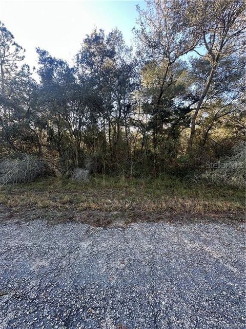 Photo of 3908 W Tropic Lane, Dunnellon, FL 34433 (MLS # TB8455632)