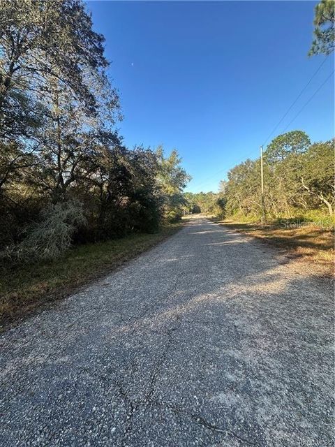 Tiny photo for 3908 W Tropic Lane, Dunnellon, FL 34433 (MLS # TB8455632)