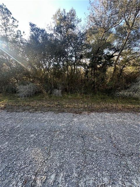 Tiny photo for 3908 W Tropic Lane, Dunnellon, FL 34433 (MLS # TB8455632)