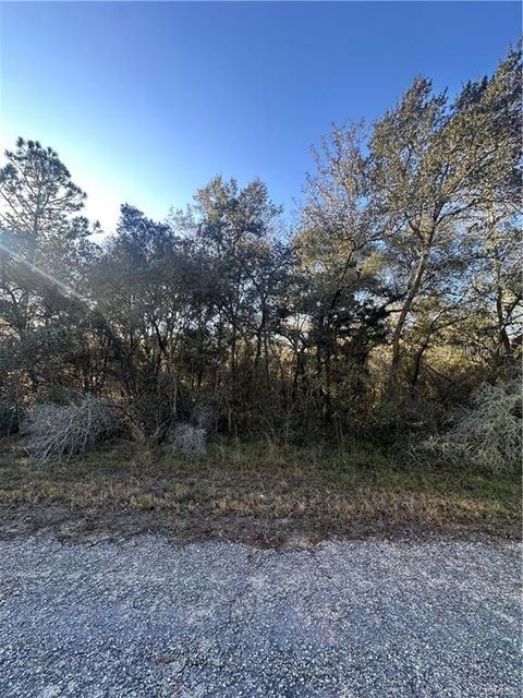 Tiny photo for 3908 W Tropic Lane, Dunnellon, FL 34433 (MLS # TB8455632)
