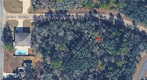 Tiny photo for 3908 W Tropic Lane, Dunnellon, FL 34433 (MLS # TB8455632)