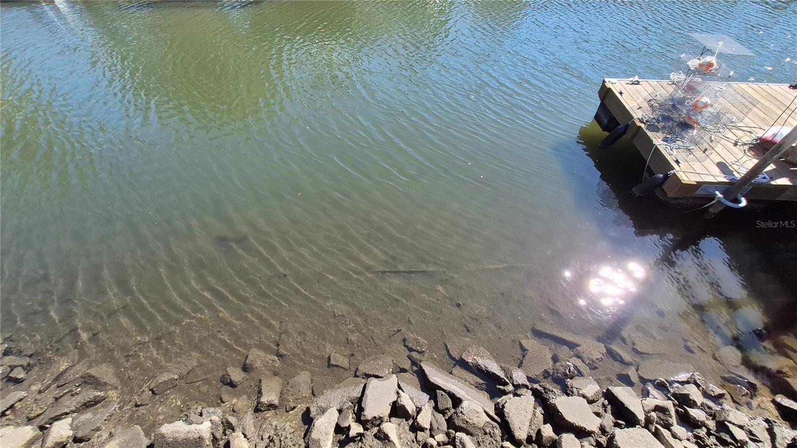 BUNTS PT UNREC SUB - Residential