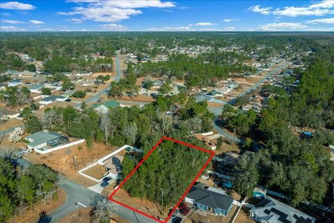 PECAN RADIAL OCALA FL 34472