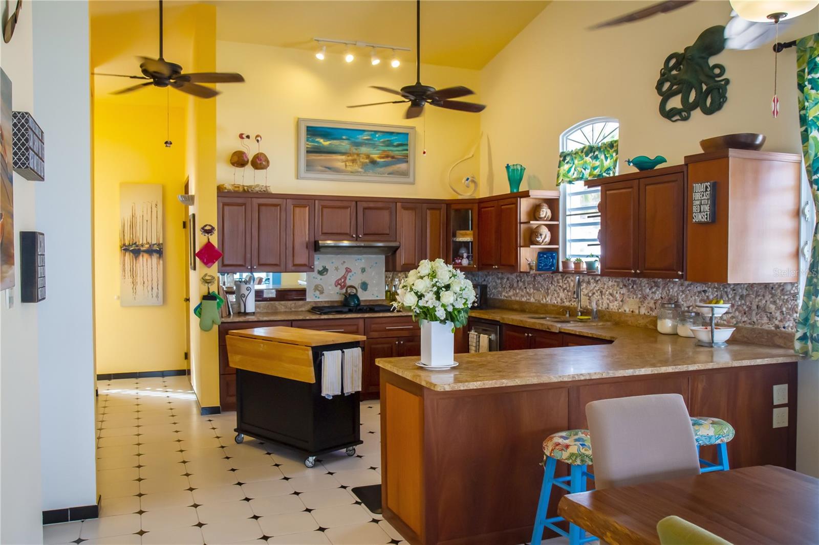 SECTOR LAS UVAS, BO. JOBOS - Residential