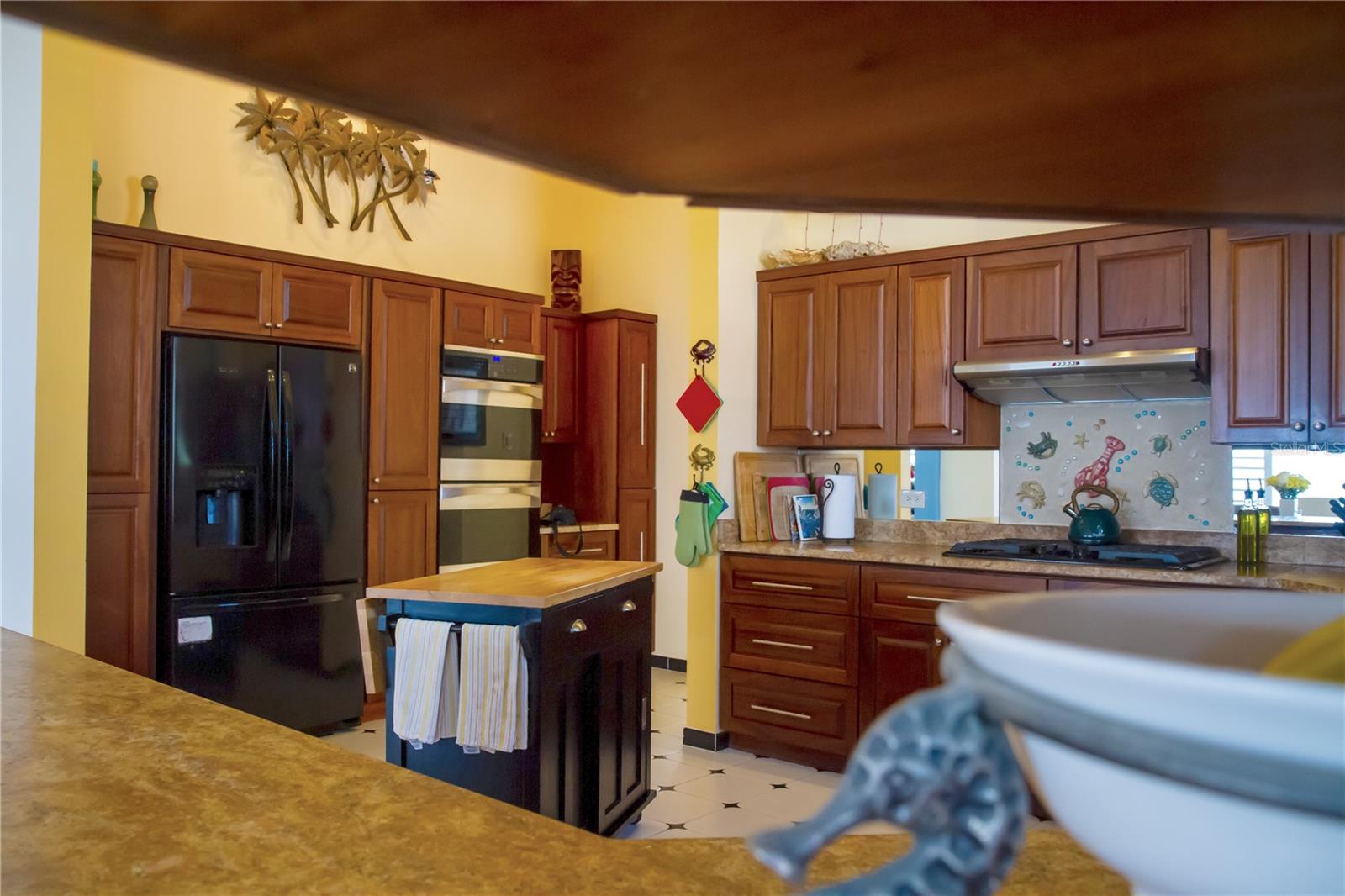 SECTOR LAS UVAS, BO. JOBOS - Residential