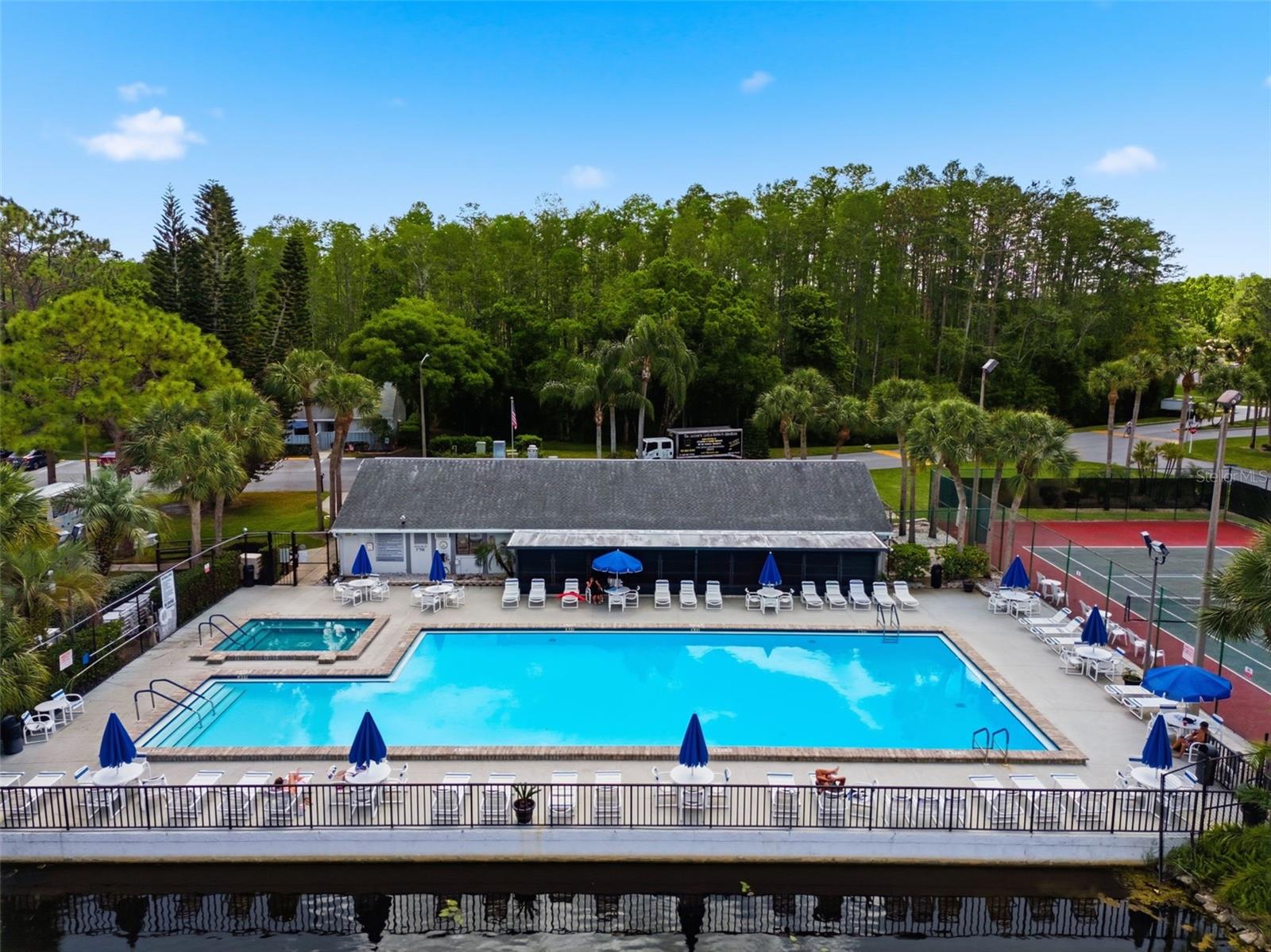 PINE RIDGE AT LAKE TARPON VILLAGE - Residential