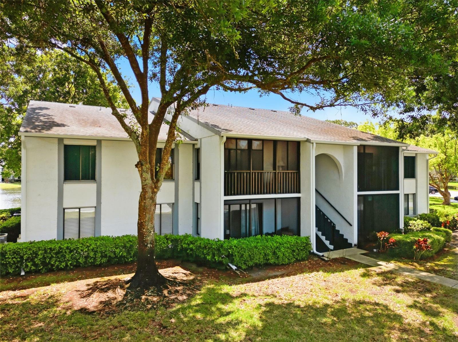 PINE RIDGE AT LAKE TARPON VILLAGE - Residential