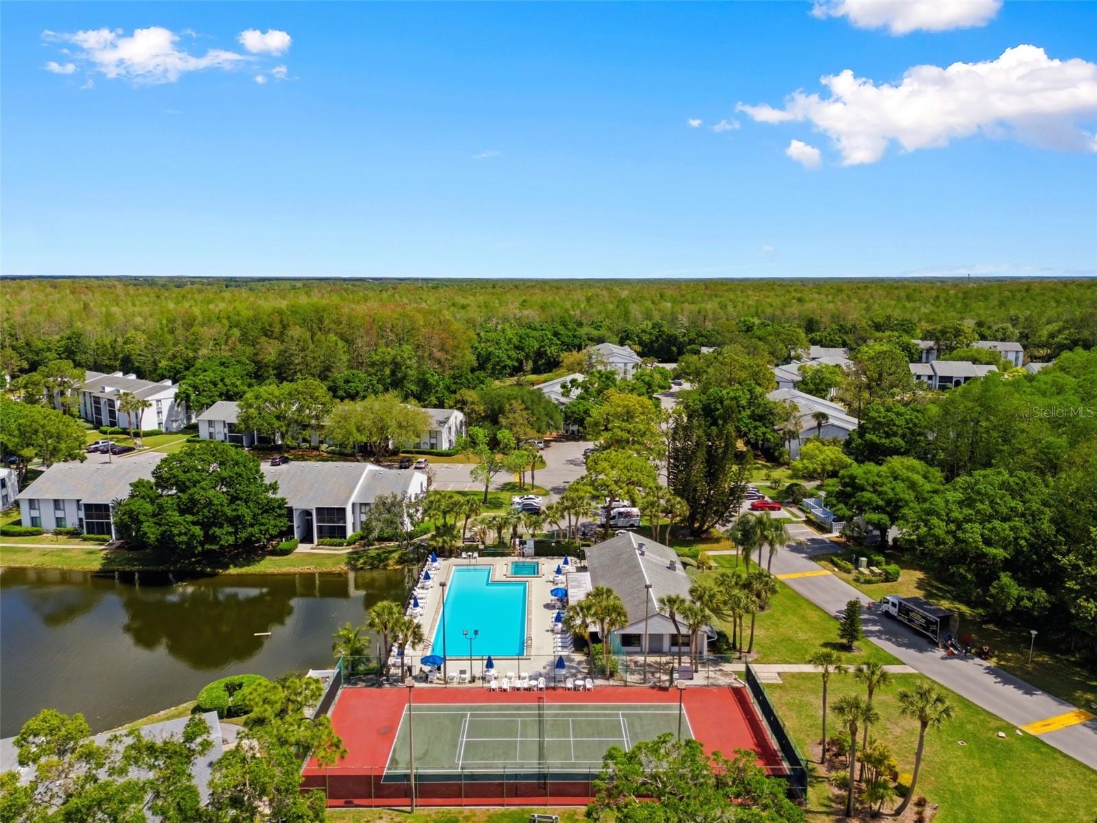 PINE RIDGE AT LAKE TARPON VILLAGE - Residential
