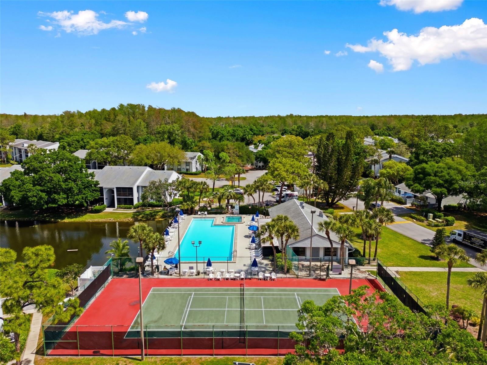 PINE RIDGE AT LAKE TARPON VILLAGE - Residential