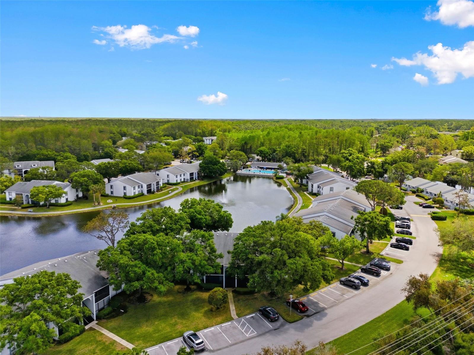 PINE RIDGE AT LAKE TARPON VILLAGE - Residential