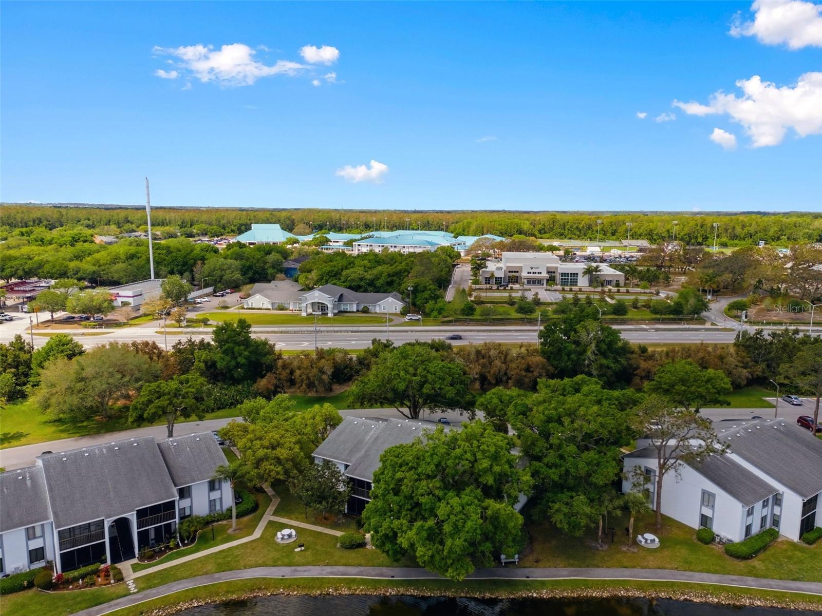 PINE RIDGE AT LAKE TARPON VILLAGE - Residential
