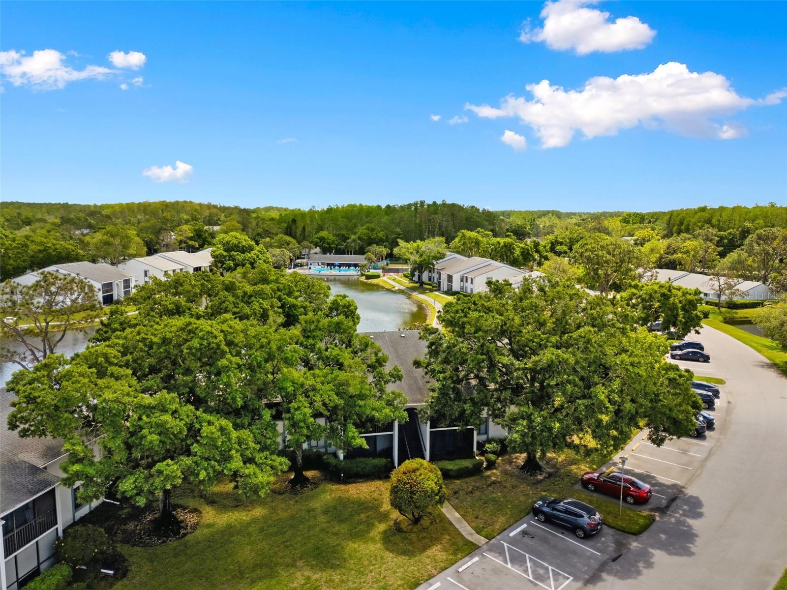 PINE RIDGE AT LAKE TARPON VILLAGE - Residential