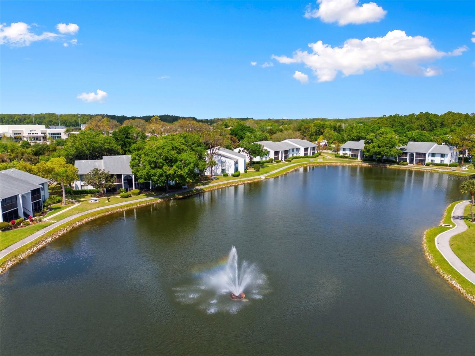 PINE RIDGE AT LAKE TARPON VILLAGE - Residential