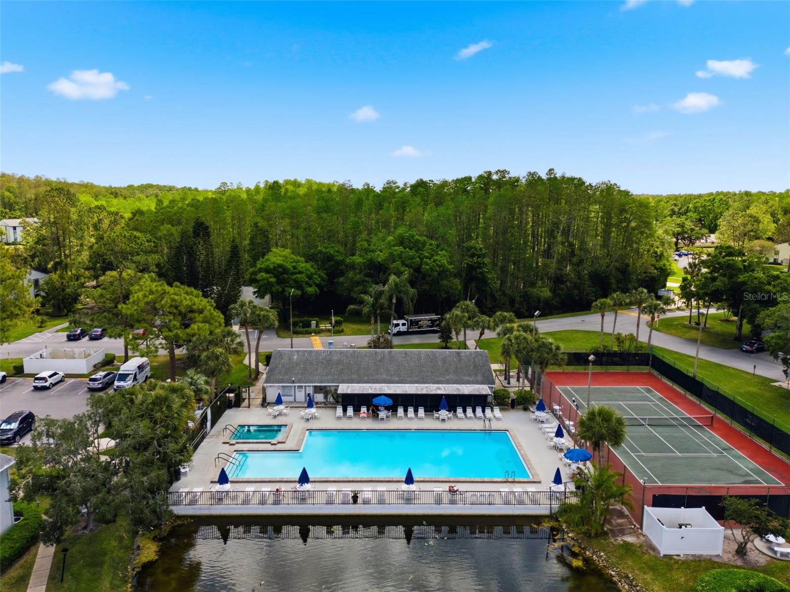 PINE RIDGE AT LAKE TARPON VILLAGE - Residential