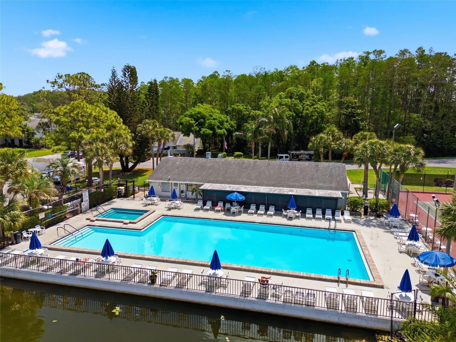PINE RIDGE AT LAKE TARPON VILLAGE - Residential