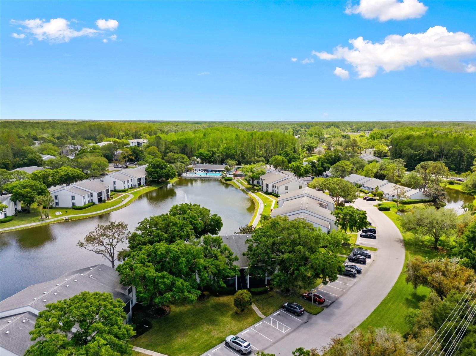 PINE RIDGE AT LAKE TARPON VILLAGE - Residential