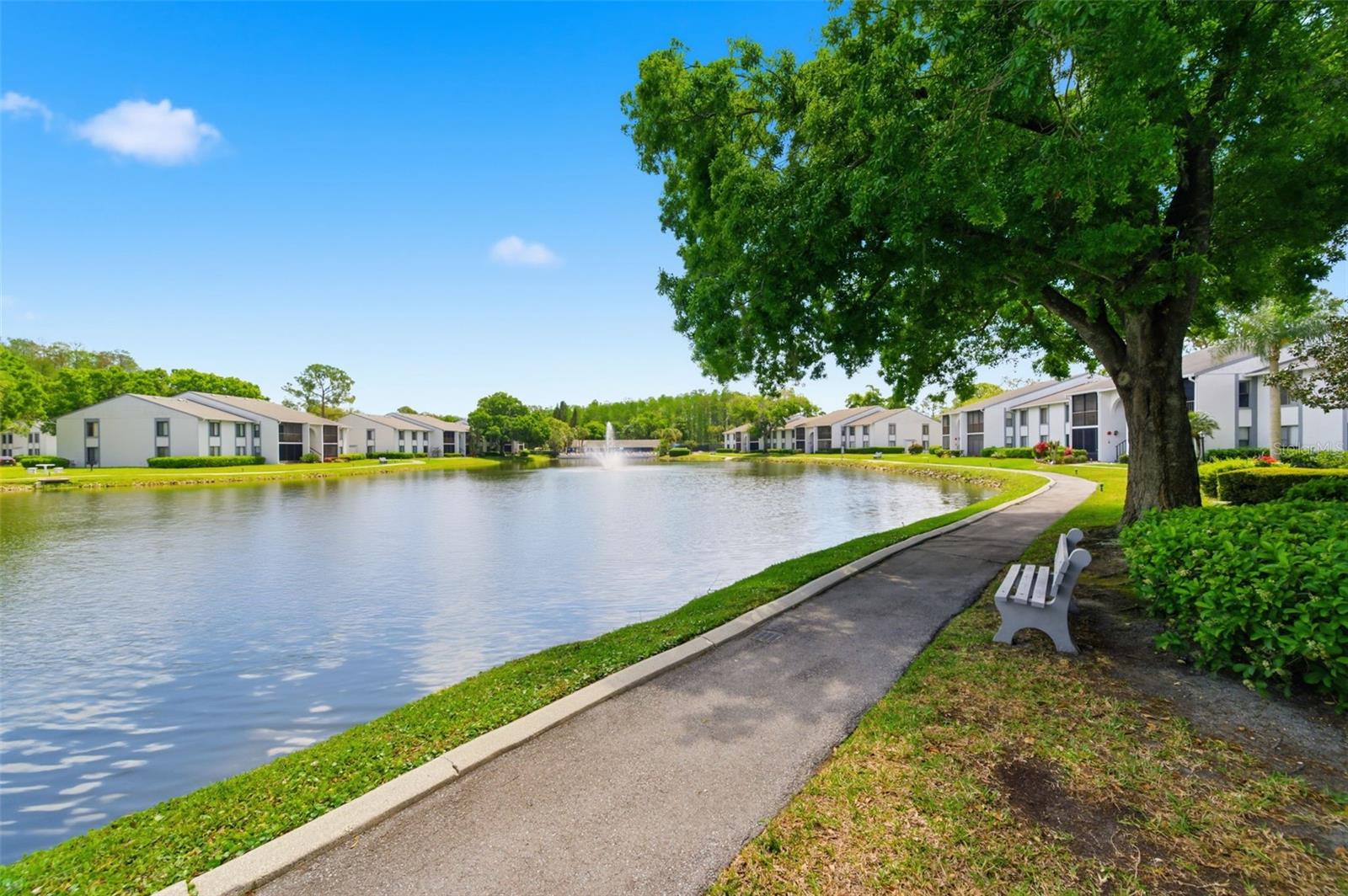 PINE RIDGE AT LAKE TARPON VILLAGE - Residential