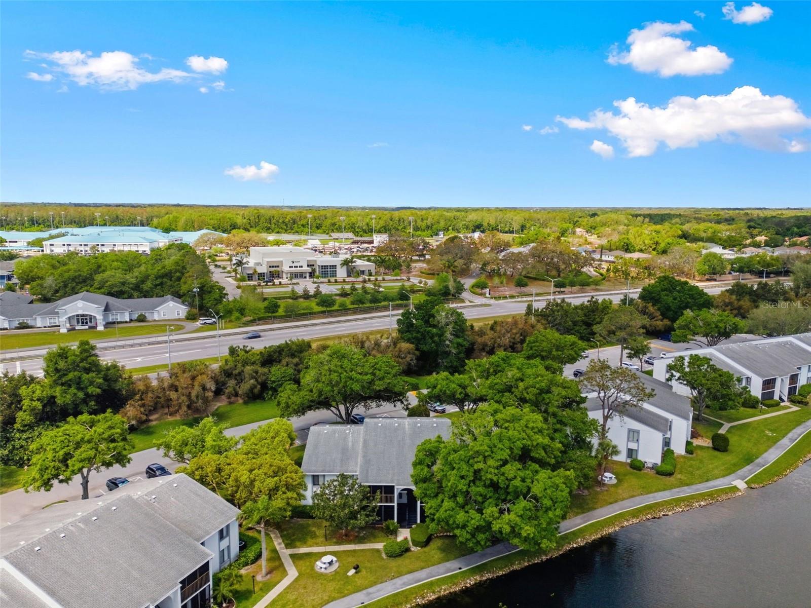 PINE RIDGE AT LAKE TARPON VILLAGE - Residential
