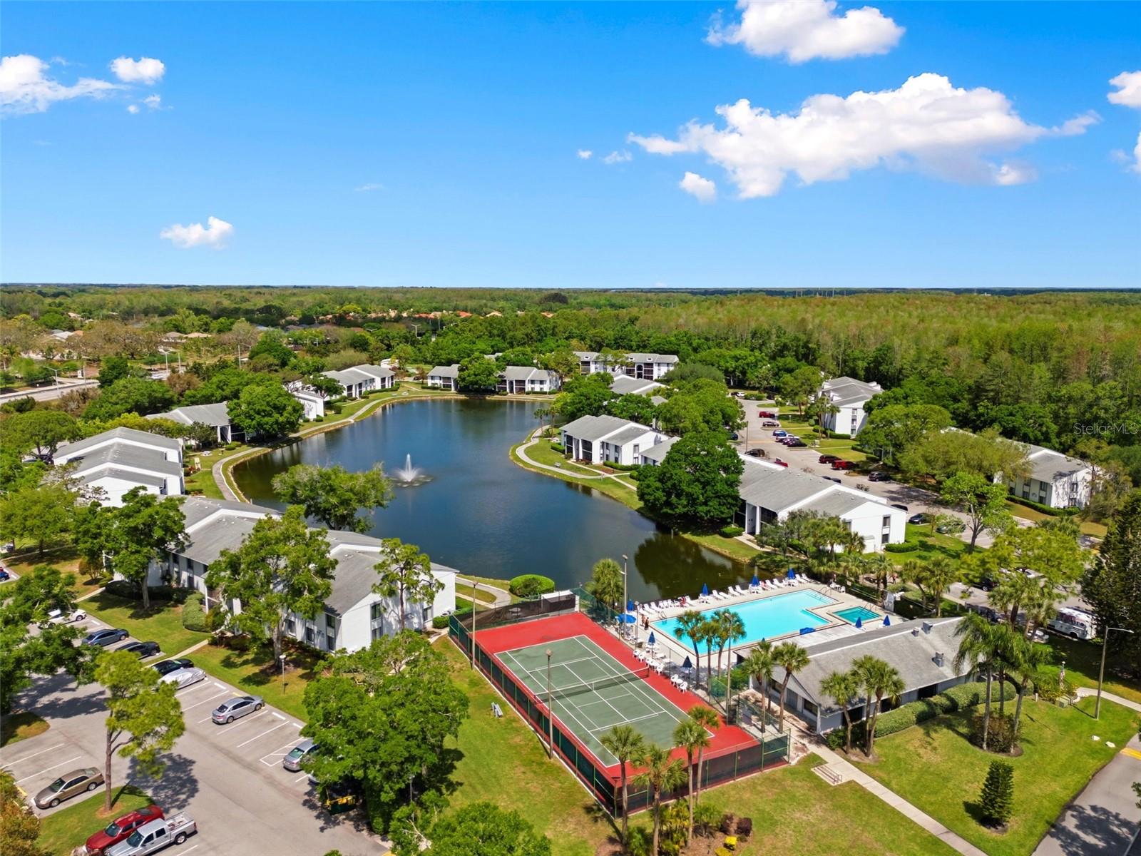 PINE RIDGE AT LAKE TARPON VILLAGE - Residential