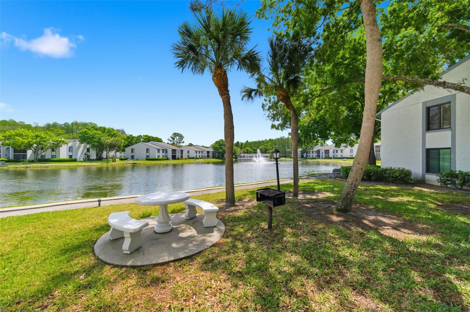 PINE RIDGE AT LAKE TARPON VILLAGE - Residential