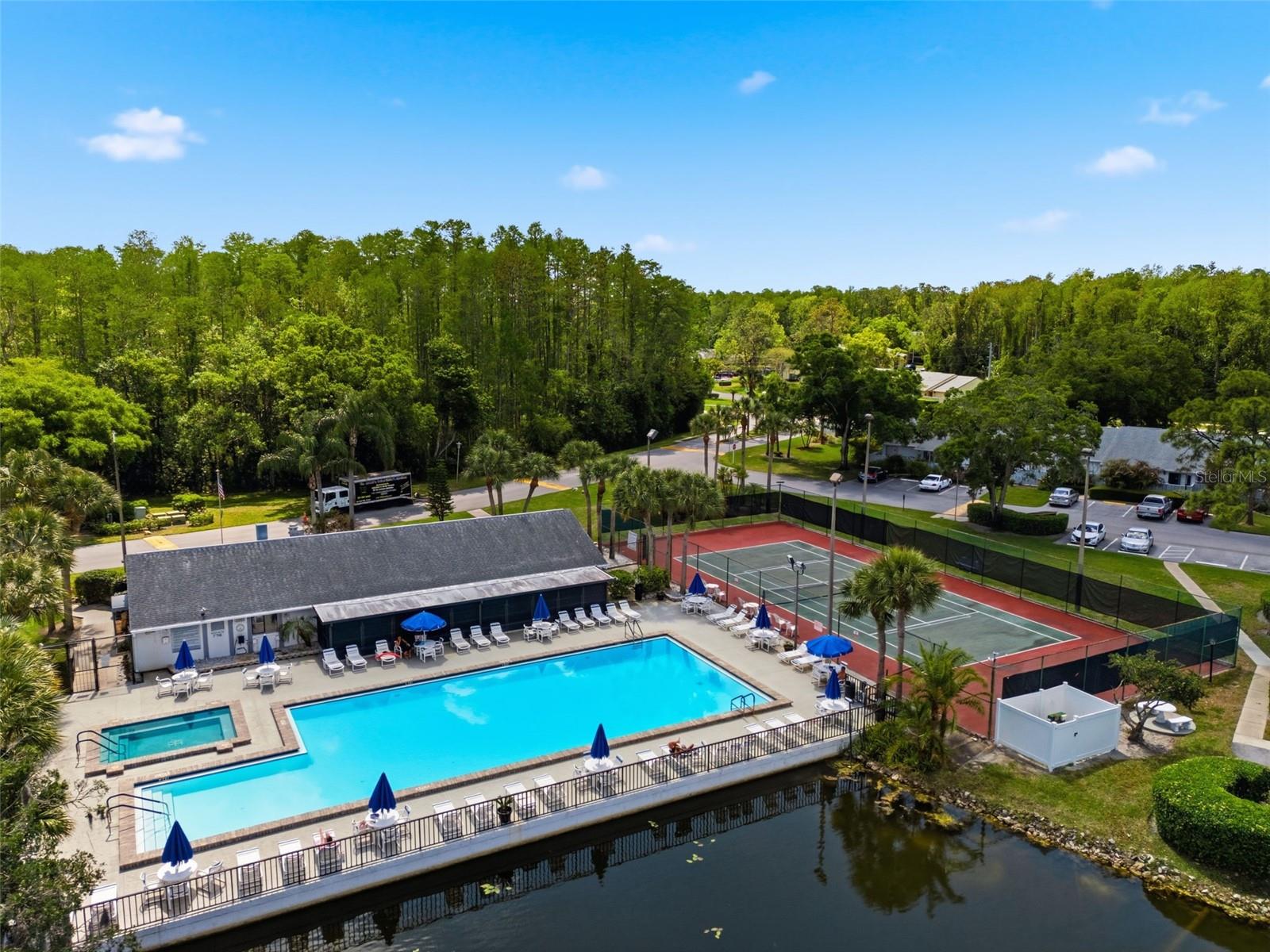 PINE RIDGE AT LAKE TARPON VILLAGE - Residential
