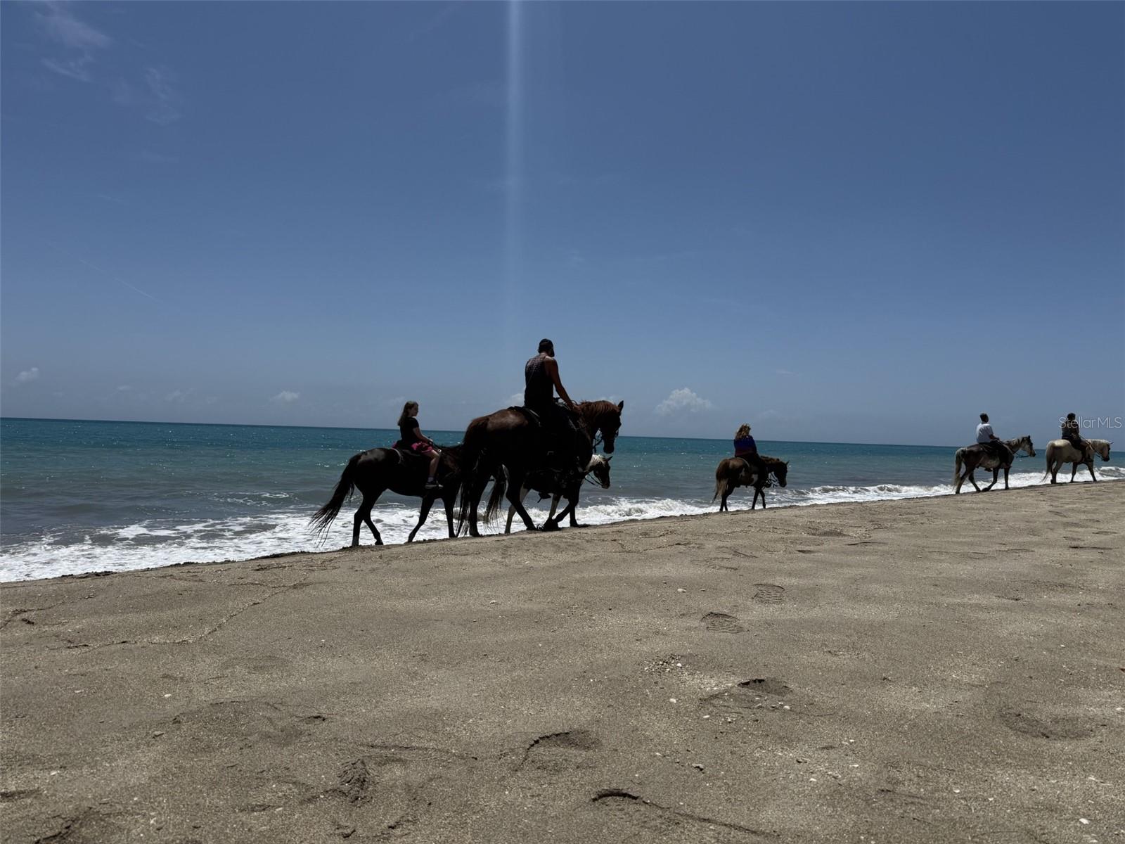 PALM HAVEN SUB - Land