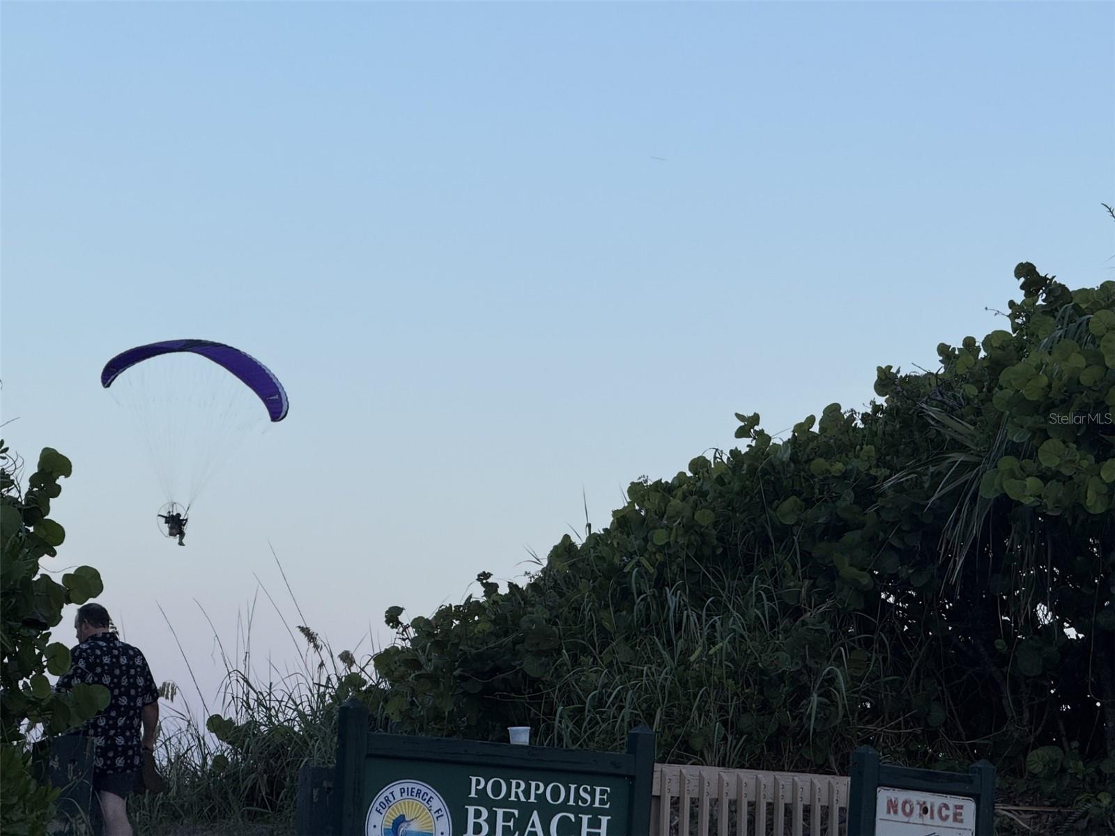 PALM HAVEN SUB - Land