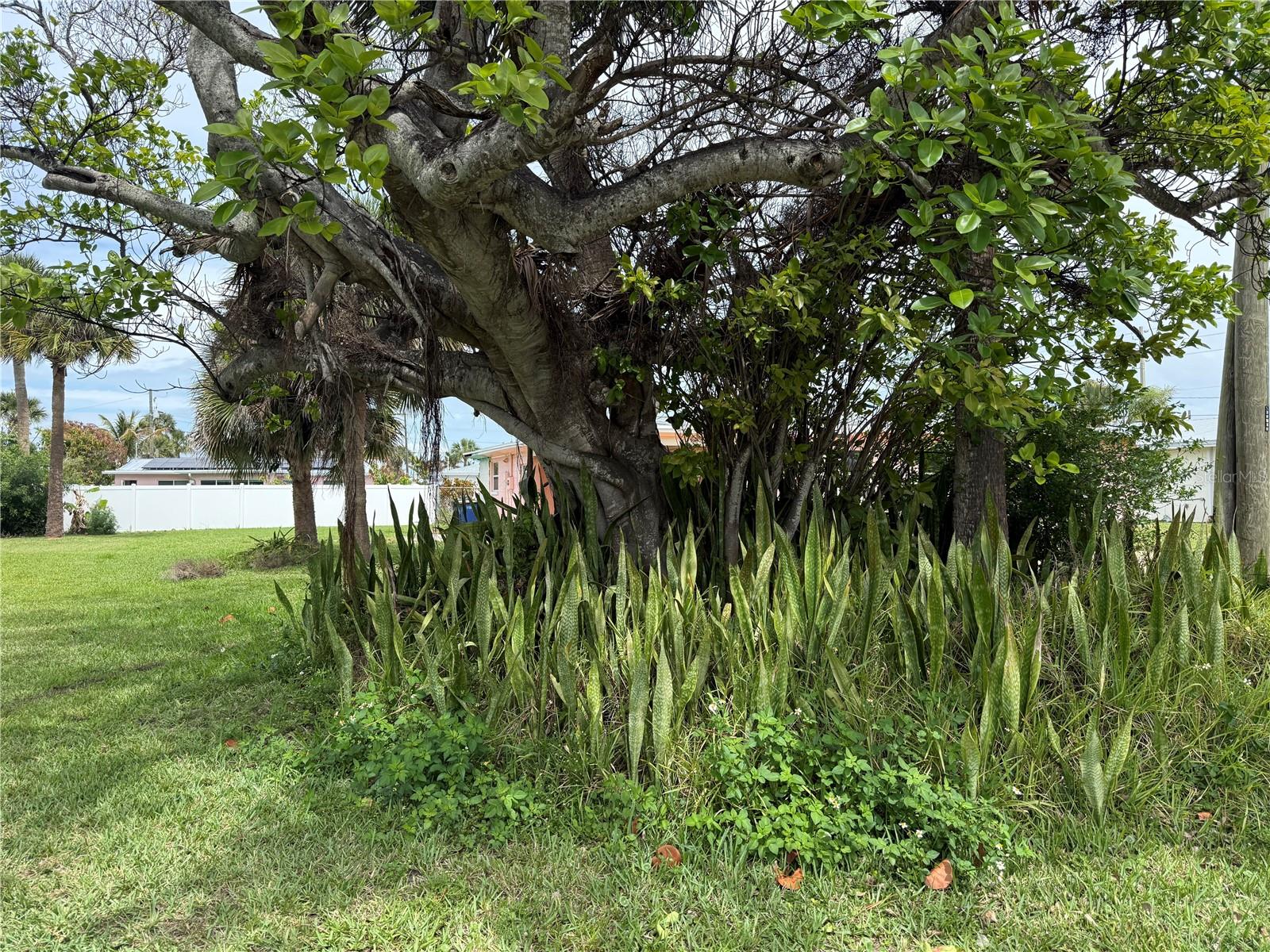 PALM HAVEN SUB - Land