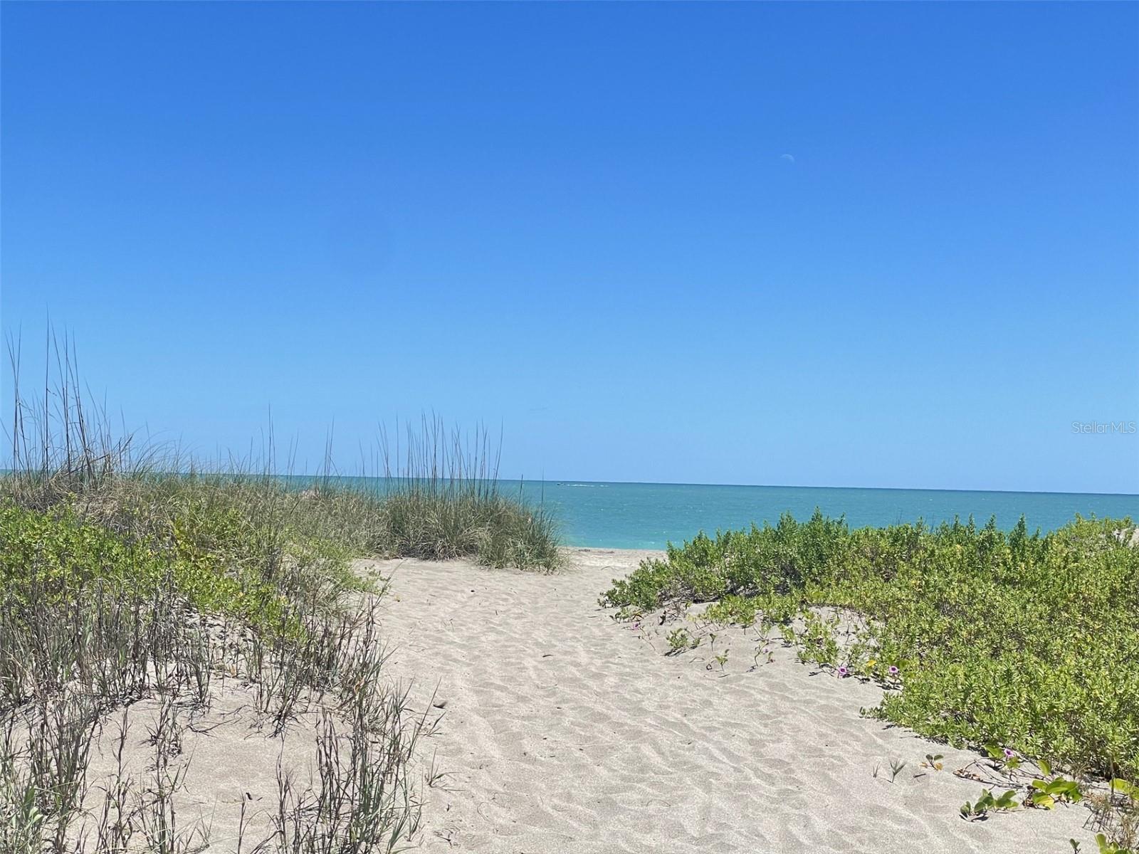 PALM HAVEN SUB - Land