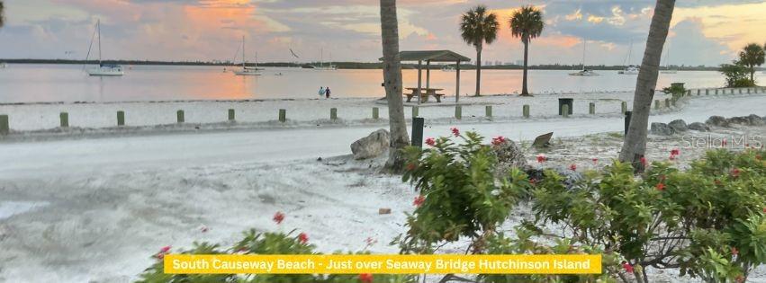 PALM HAVEN SUB - Land