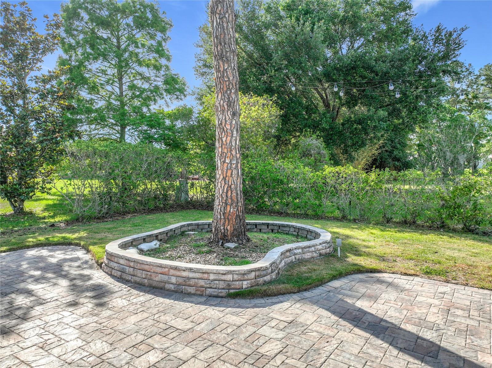 LAKE RIDGE VILLAGE - Residential