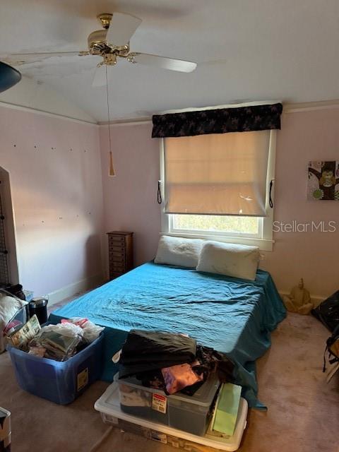 CLERMONT CLERMONT HEIGHTS - Residential