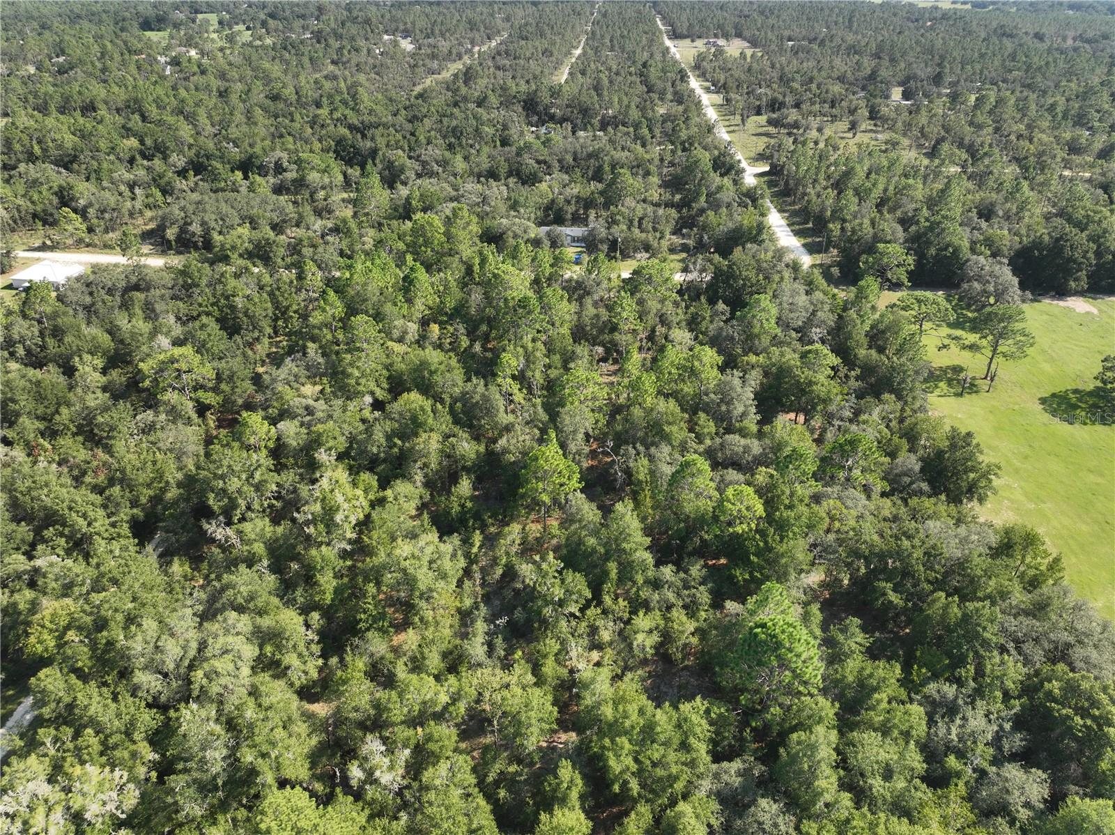 VILLALGE OF GREEN THUMBS - Land