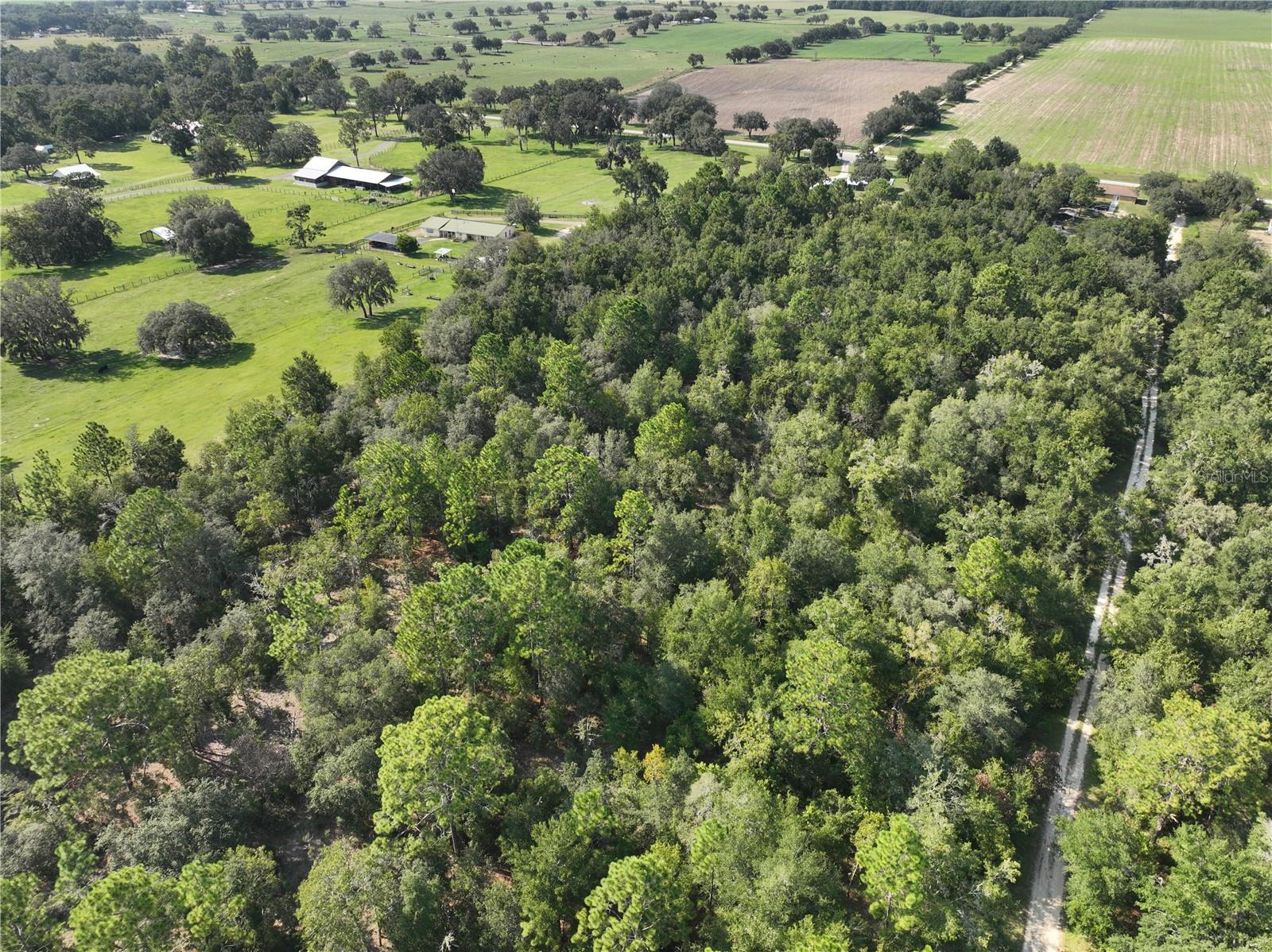 VILLALGE OF GREEN THUMBS - Land