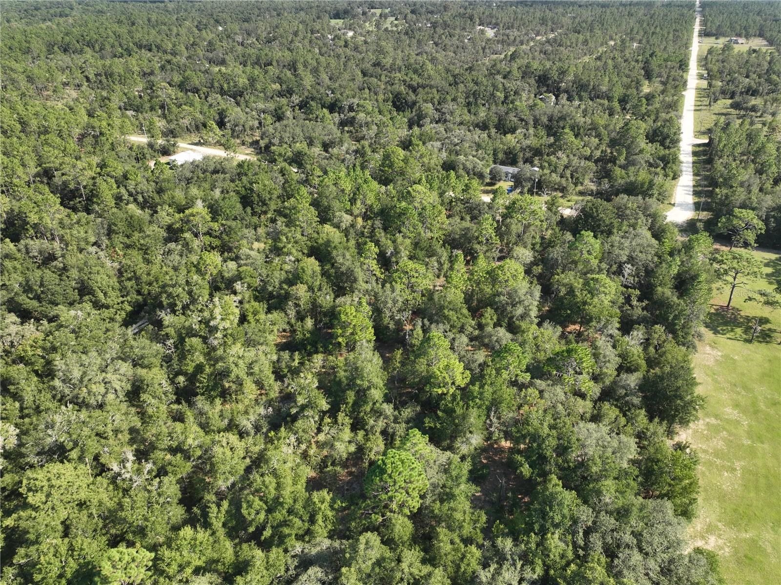 VILLALGE OF GREEN THUMBS - Land