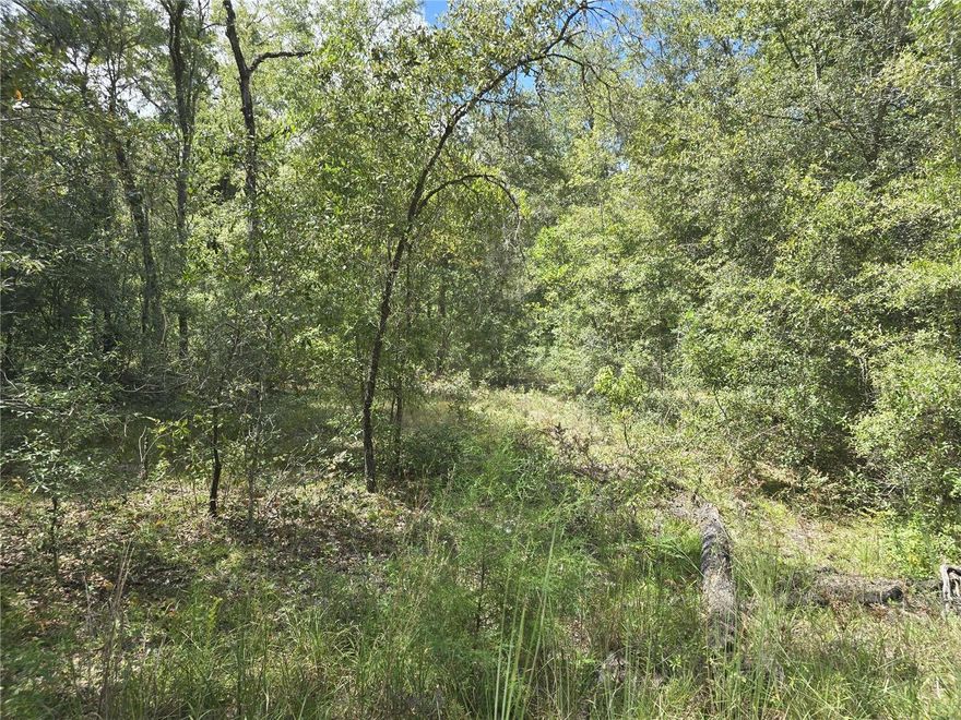 Discover your slice of Williston paradise with this rare two-acre property in the desirable Village of Green Thumbs. Conveniently located just minutes from town, you’ll enjoy easy access to shops, restaurants, and local businesses while still savoring the peace and privacy of a wooded retreat.

The property is graced with majestic oaks and a scattering of pines, offering natural beauty and shade. A few clearings, visible in the drone photos, provide excellent opportunities for your dream home, barn, or workshop. Whether you envision a custom site-built residence or a quality manufactured home, this versatile lot is ready to accommodate your vision.

Opportunities like this don’t come along often—lots in this location are rarely available. Don’t miss the chance to create your own haven in one of Williston’s most convenient and charming areas.

Call today to explore the possibilities!