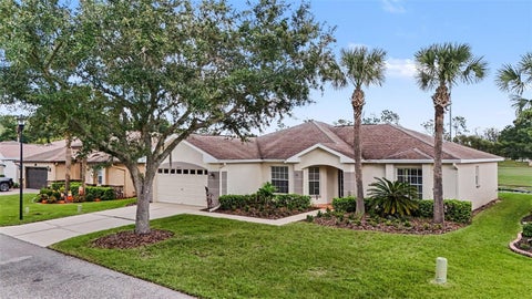 Photo of 10223 Collar Drive, San Antonio, FL 33576 (MLS # TB8546347)