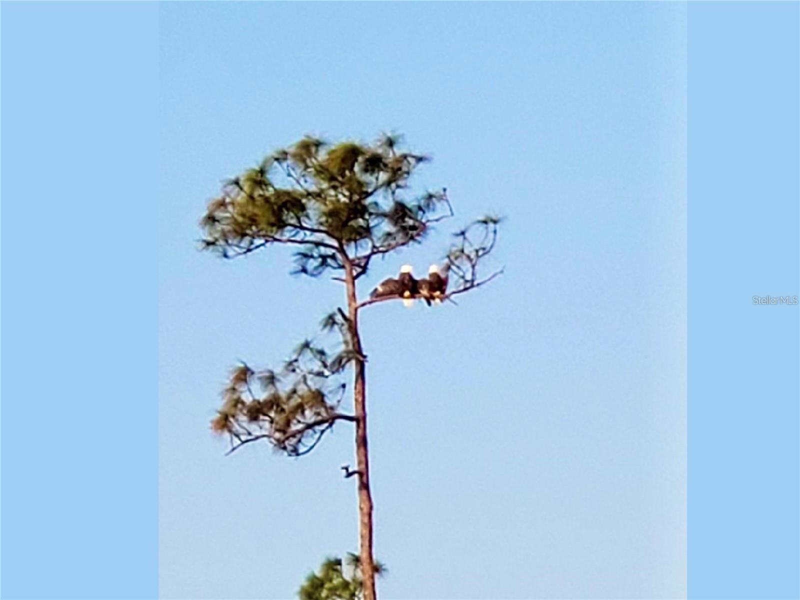 COACH HOMES I AT HERITAGE LANDING - Residential