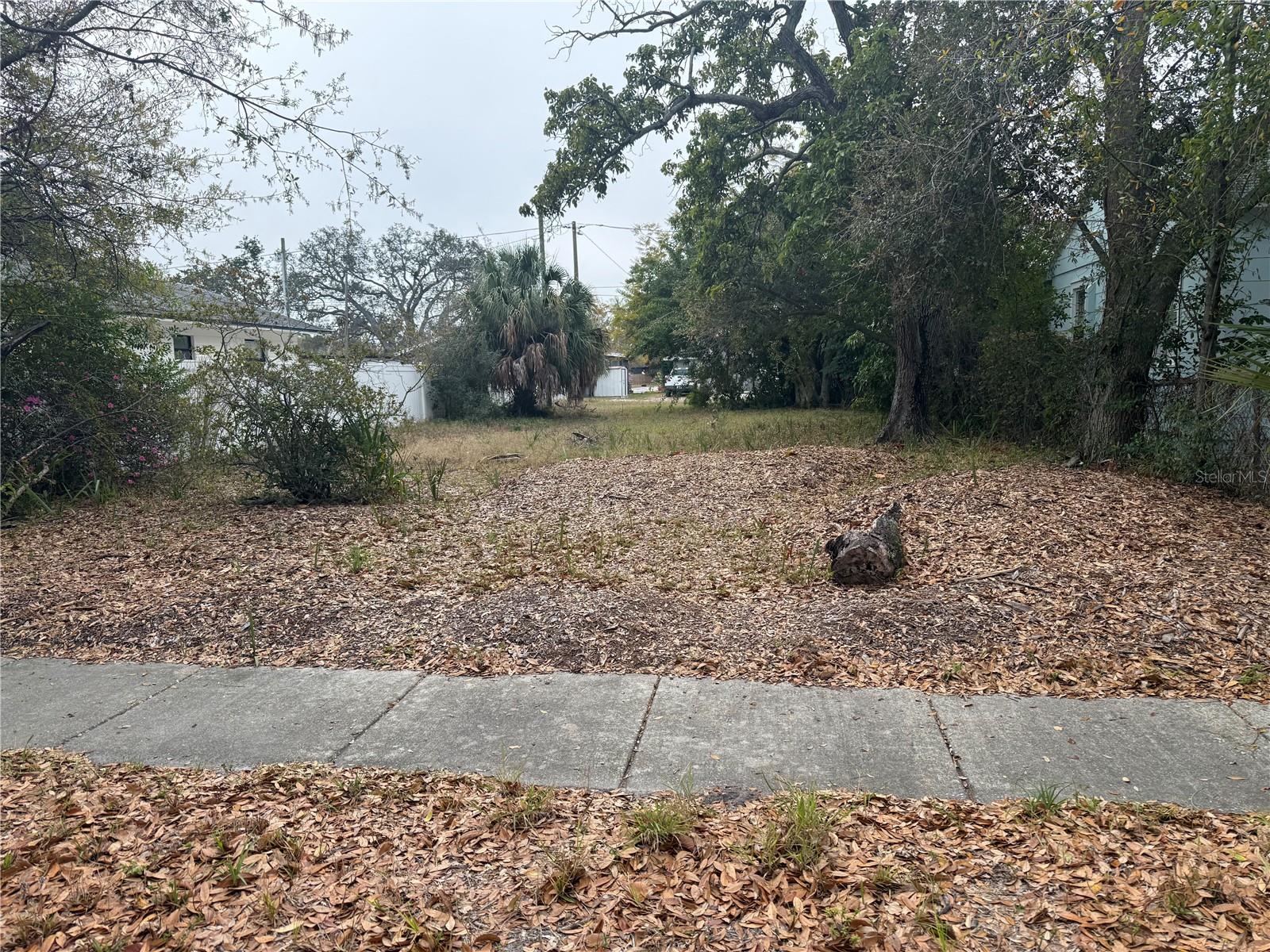 COLONIAL PLACE REV - Land