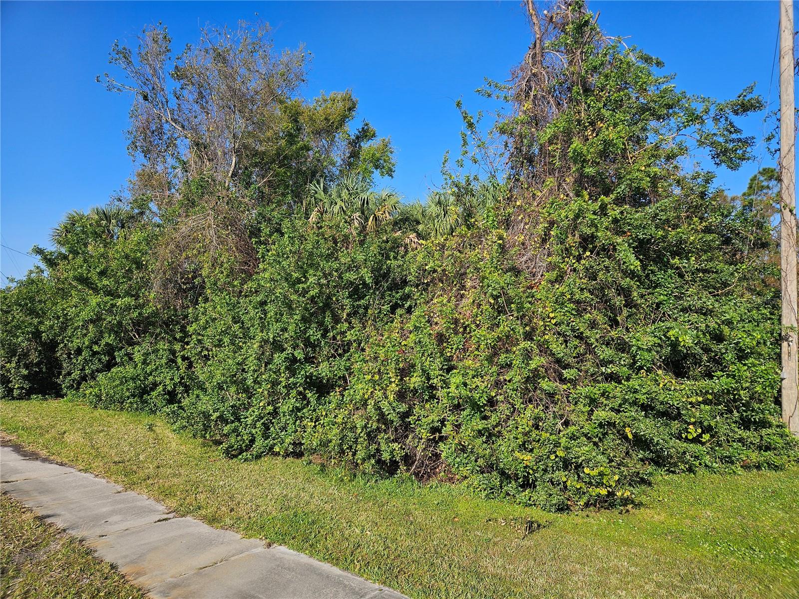 Buildable Residential lot in Growing North Port. Excellent access to Toledo Blade and I-75. City Water available.