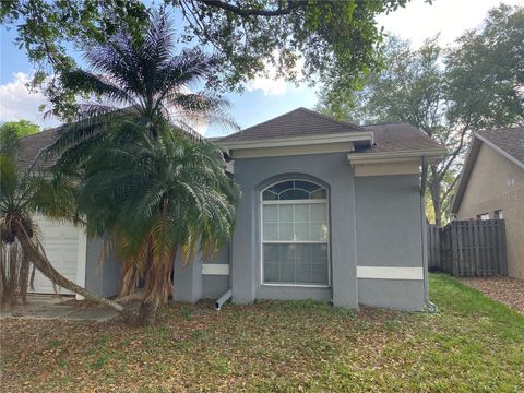 11201 BRAMBLEBRUSH STREET TAMPA FL 33624