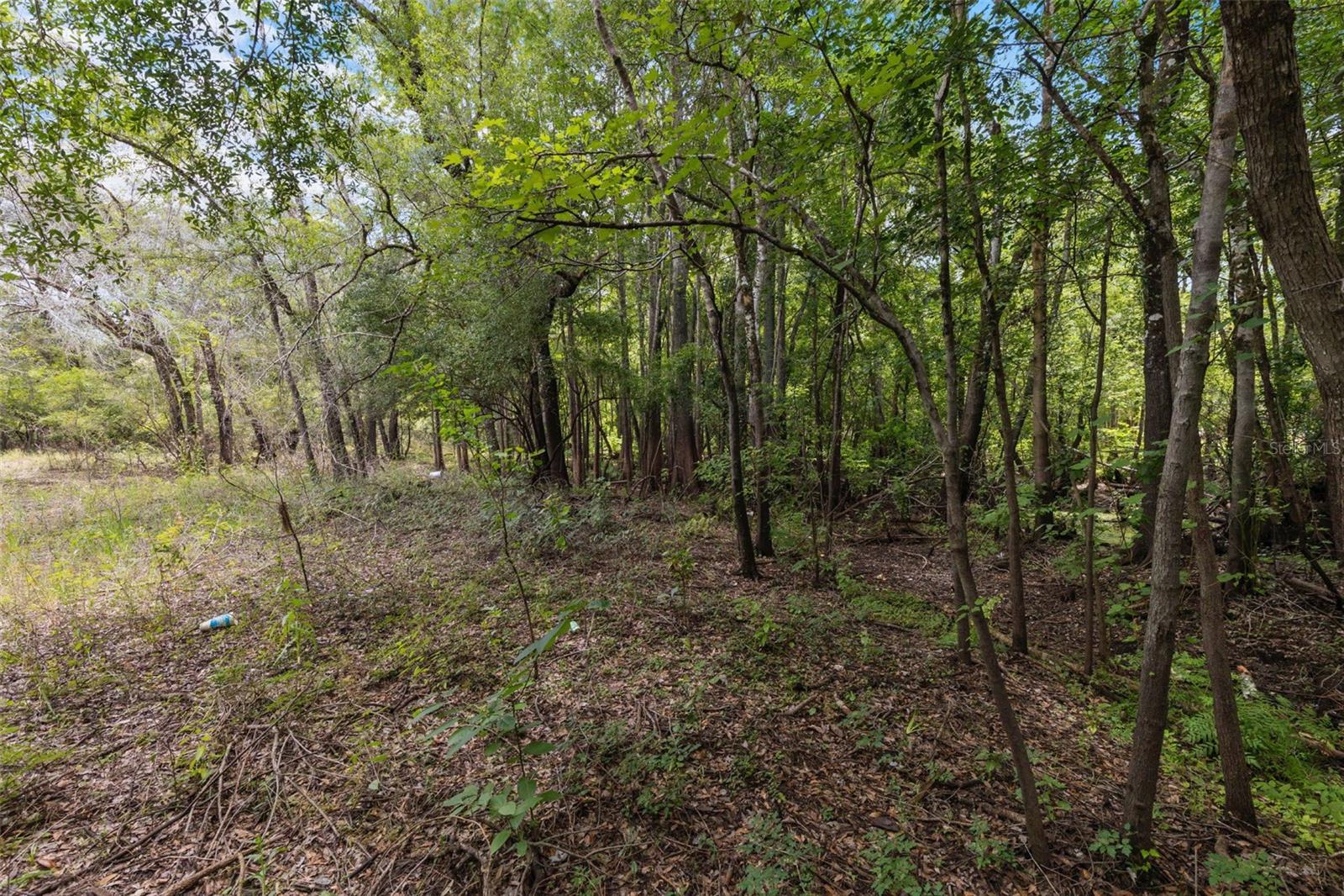 Ready to build your dream home? Don’t miss out on this beautiful half-acre lot in Ridge Manor, perfectly situated across the street from the serene Withlacoochee River. Discover the potential of this spacious 20,840 sq ft lot nestled in the peaceful community with no HOA or CDD restrictions. Outdoor enthusiasts will love the proximity to the Withlacoochee State Forest and other nearby parks. Whether you're looking to create your own private retreat or build an investment property, this vacant lot on Shasta Street offers the ideal canvas. Enjoy peace and quiet with nearby outdoor recreation, nature trails, and easy access to major roadways for a convenient commute.
