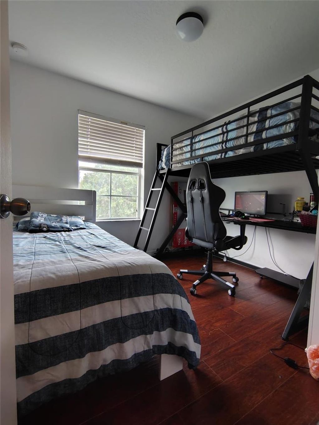 Photo of 9871 Trumpet Vine Loop, Trinity, FL 34655 (MLS # S5134193)