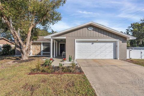 A home in EUSTIS