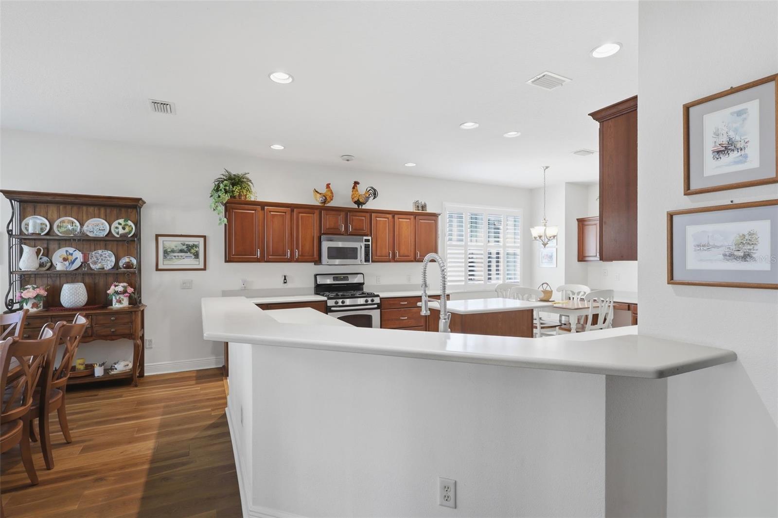 VILLAGES OF SUMTER - Residential