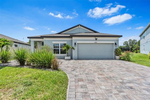 30801 PARROT REEF COURT WESLEY CHAPEL FL 33545