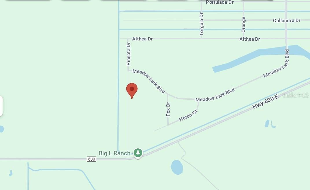 PINNATA DRIVE